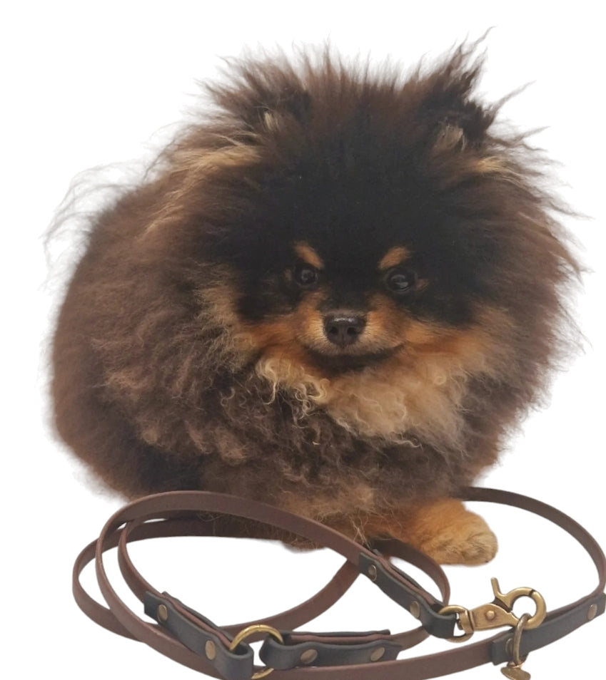 BioThane® Adjustable dog leash 2m
