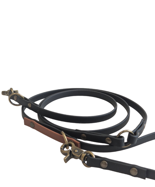 BioThane® Adjustable dog leash 2m